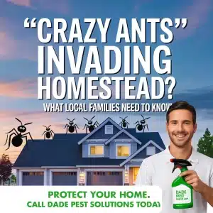 “Crazy Ants” Invading Homestead? What Local Families Need to Know 8 7026971e e2b1 4c70 80e2 d0a9173b5a79 image update – pest control in