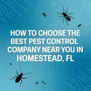 How to Choose the Best Pest Control Company 5 How to Choose the Best Pest Control Company