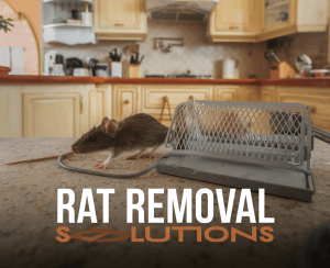 2025 11 22T190610.188Z9184file – pest control in