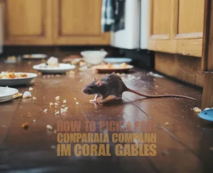 Mouse on kitchen floor with debris