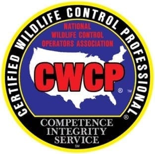 About Us 19 certified wildlife – pest control in