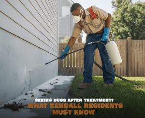 2025 12 03T190852.018Z7323file – pest control in