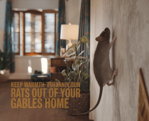 2025 12 10T191853.150Z2417file – pest control in